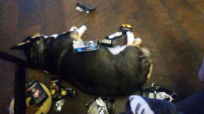 3c806f1c-88b8-4638-9660-64ead745a395