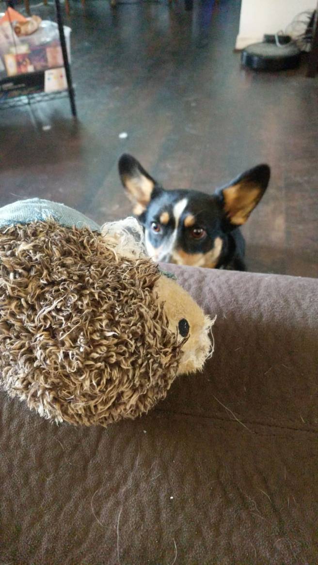 5fdc254d-d359-4572-8bbf-e4e74ccdc087