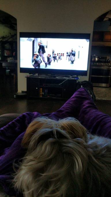 f8e6af5a-ec5b-428e-bbe9-7bba70d8211a