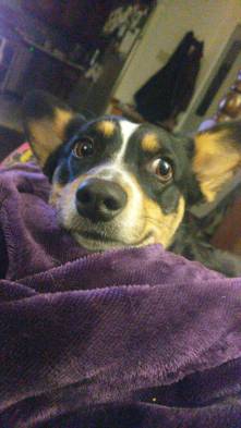 1e627f72-87d4-4ad3-84fc-977a44c82d16