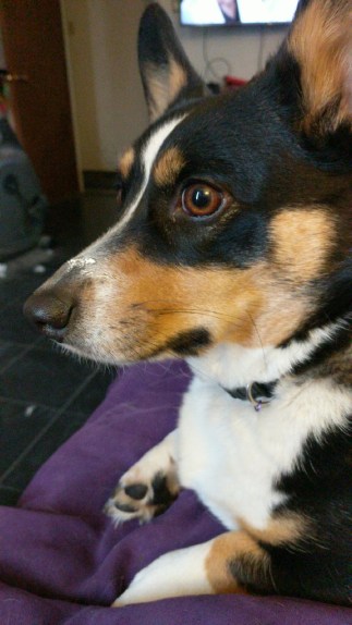 04f8126d-25ca-4181-84e1-23a976223799