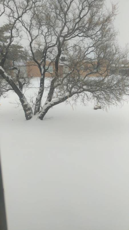 51e3d7dd-076c-4a77-9310-ca5ffc7ceb79