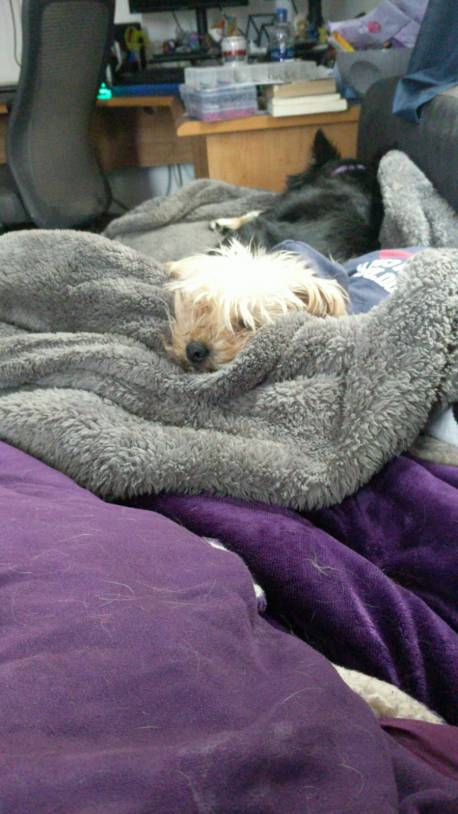 8352d1df-4821-4605-9ce1-120dfc35b7d9