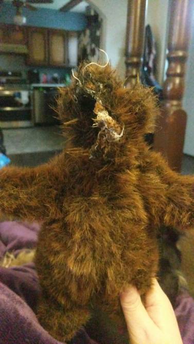 28a33329-ad22-4a32-997e-d31fd8b05d4d