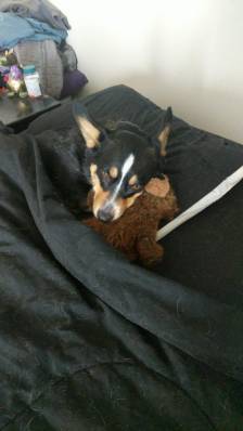 77ca57e9-d75d-4def-95a5-ea0c80837ada