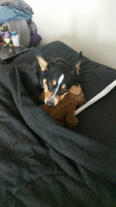 77ca57e9-d75d-4def-95a5-ea0c80837ada