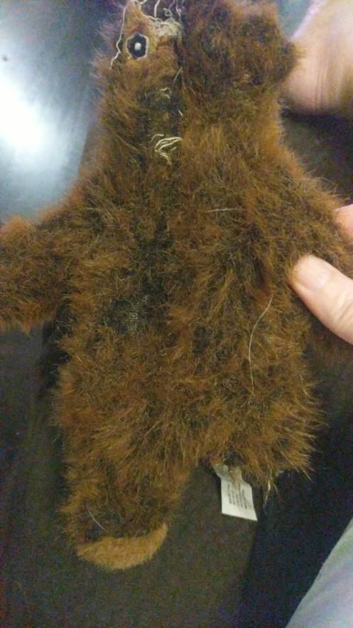 c71ea6cf-2aaf-46ec-abd1-180bb68e2ef6