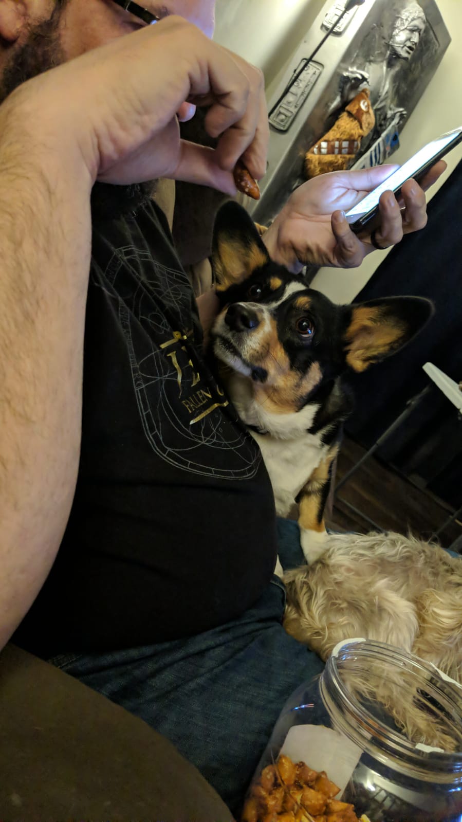 0276847e-83ff-4a14-bd43-3a686ce84600