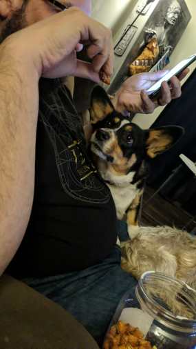 0276847e-83ff-4a14-bd43-3a686ce84600