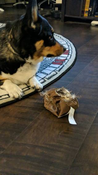 4f848a30-31b5-491c-9336-fe32edc2a270