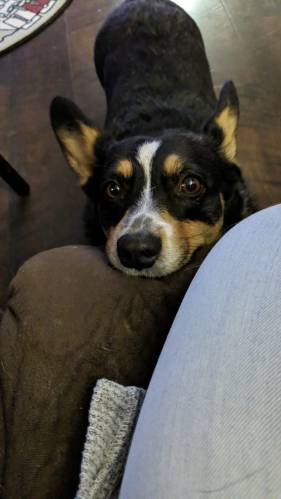 d8c48a05-1c7d-4a71-967f-b4ceed75077f